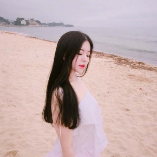 admin头像